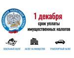 Как можно получить налоговое уведомление!